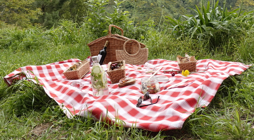 A different picnic